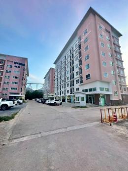 0020R ขาย The Nine Condo นาป่า (เก่ง) 0020R ขาย The Nine Condo นาป่า (เก่ง)