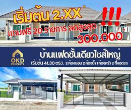0014C ขายบ้านแฝดพนัสนิคม ทุ่งขวาง ซ.18